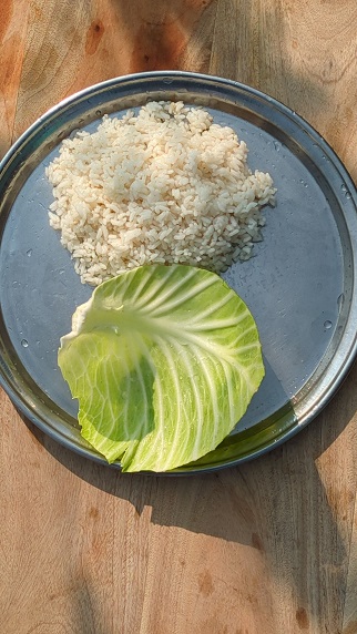 Serve-preparation-above-cabbage-leaf